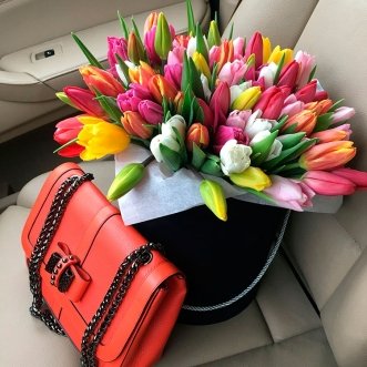 101 разноцветный тюльпан