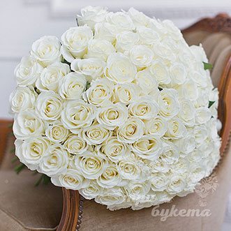 101 белая роза (Premium) 70 см.