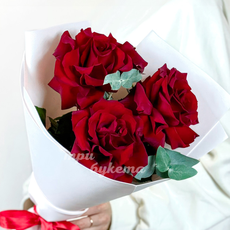 Мини-букет из красных французских роз (крупный план)