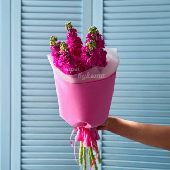 Яркий букет из 5 розовых маттиол