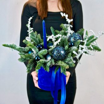 Синие елочные шары с нобилисом в коробке