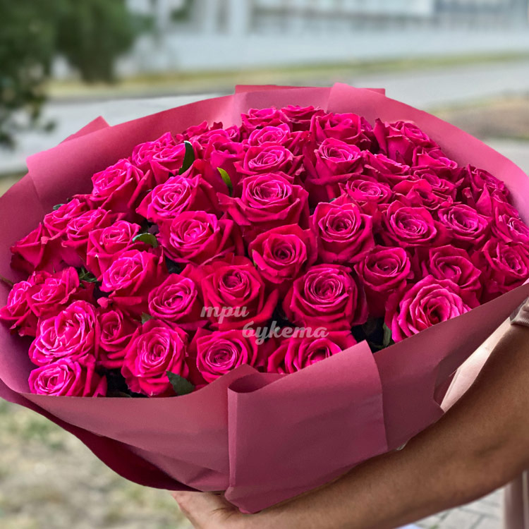 Букет из 51 высокой розы цвета Фуксия (крупный план)