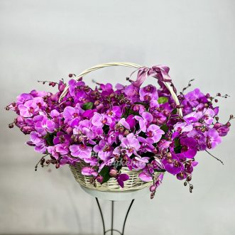 Большая корзина сиреневых орхидей
